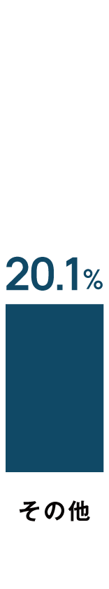その他10.0%