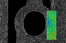 射出成形品の繊維配向解析