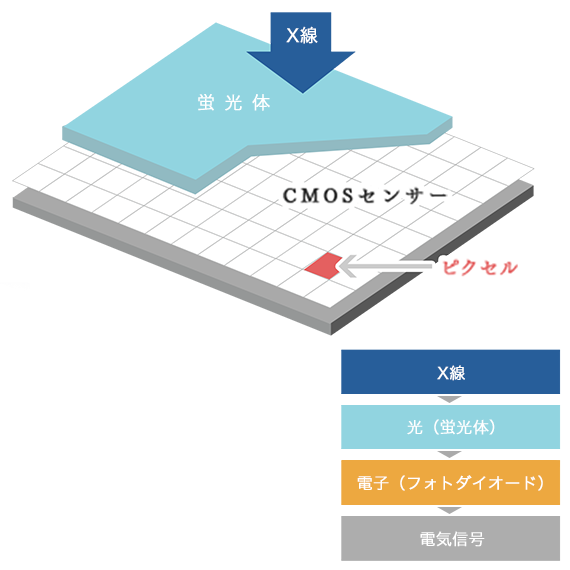 X線検出器のしくみ