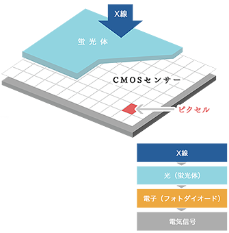 X線検出器のしくみ